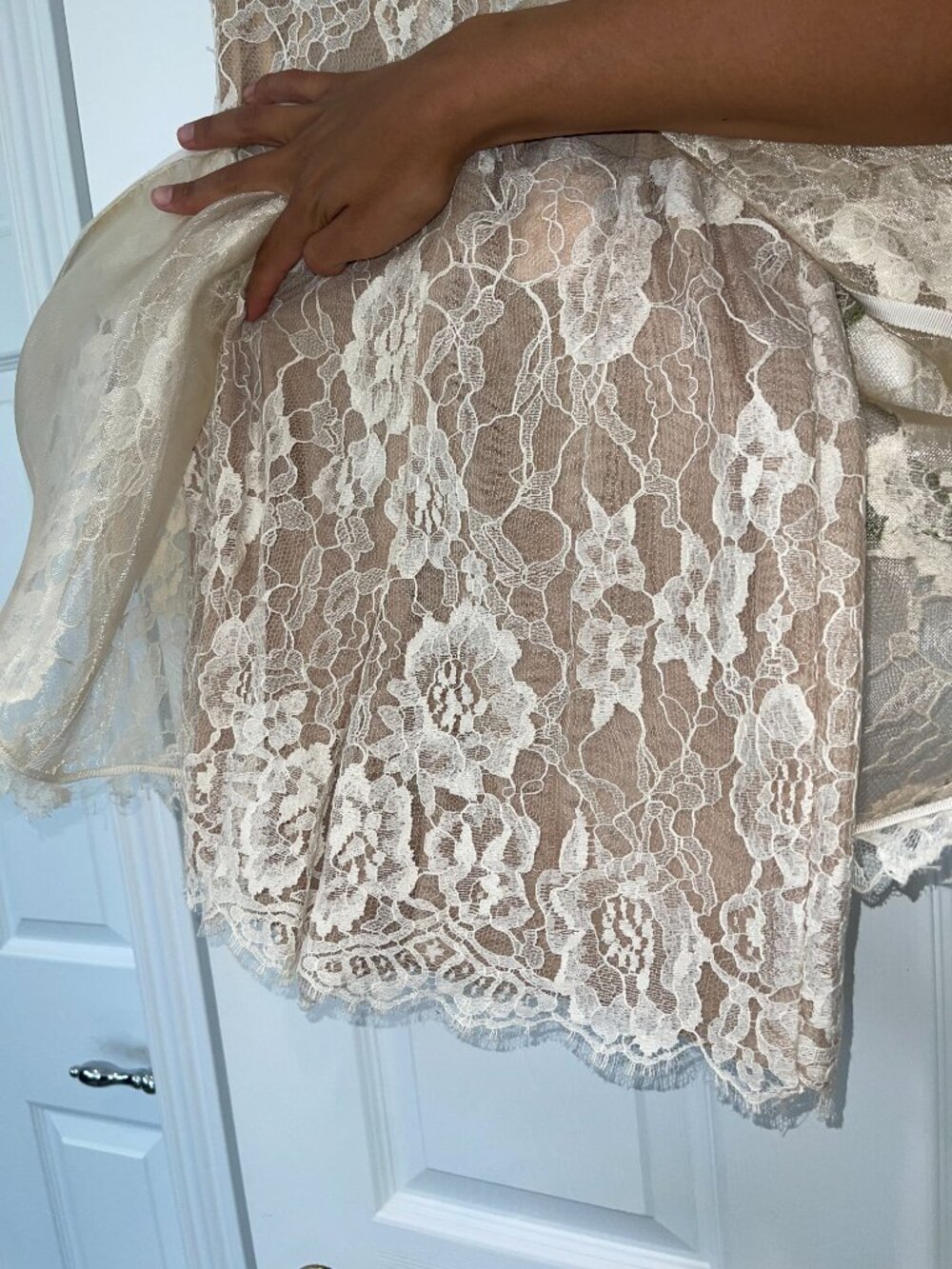 Gemy Maalouf Ivory Lace Red Rose Appliqué Dress | Size 6 | $2,350 Retail - Picture 6 of 9